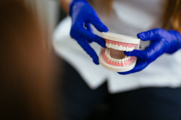 Reliable Danville, IN Dental Services Solutions